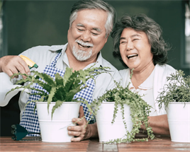 Elderly financial abuse: Protective measures